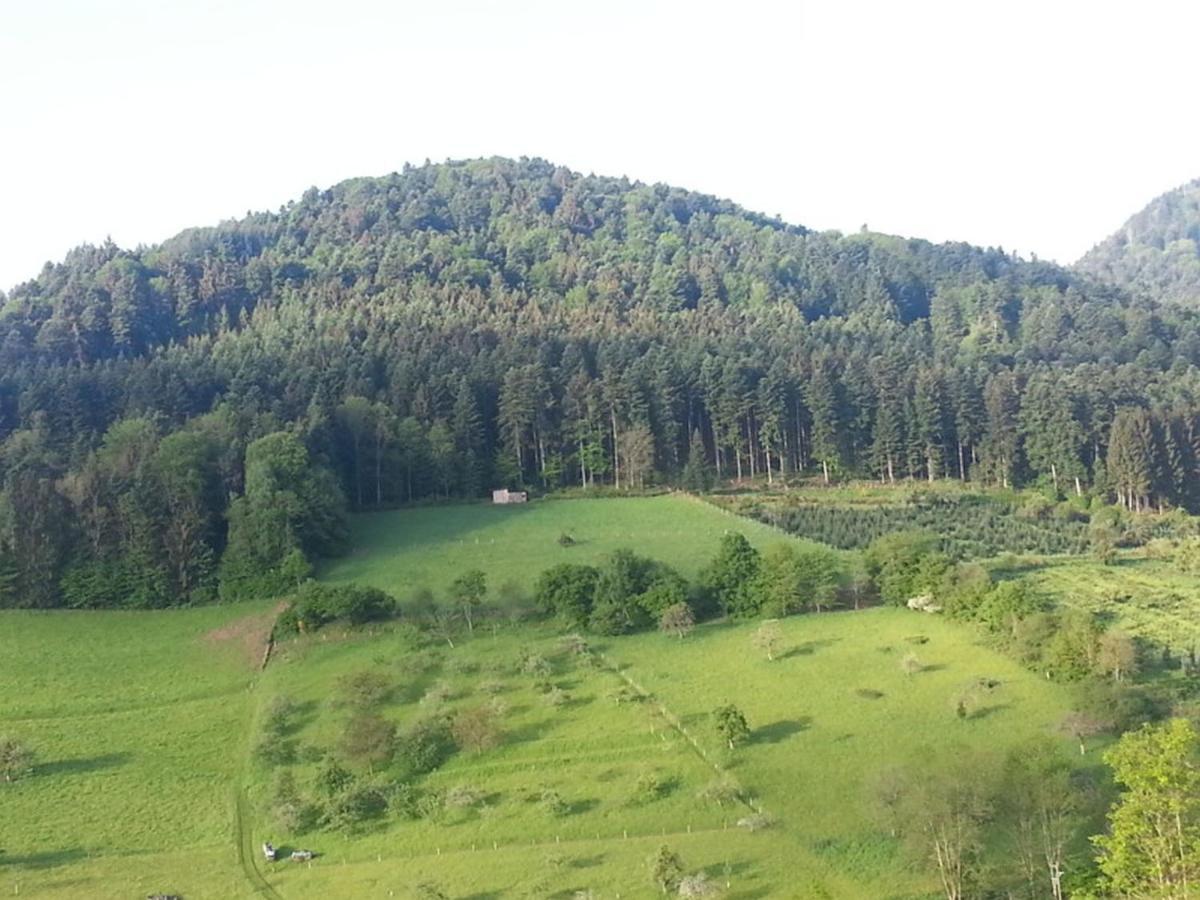 Haus Wolter Lägenhet Gengenbach Exteriör bild